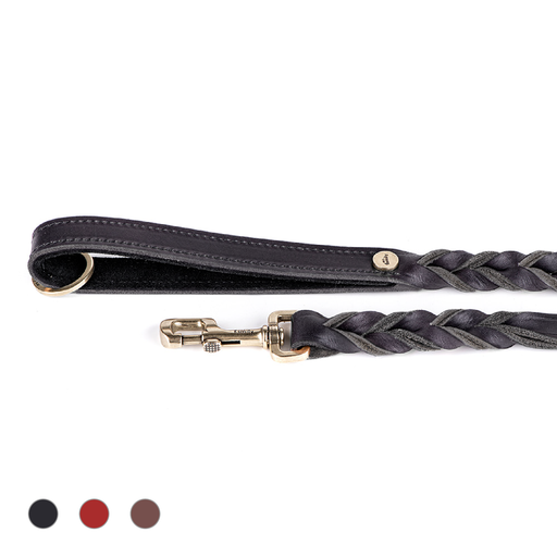 ASCOT LEASH