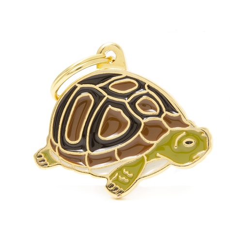 [Z030] TORTUE