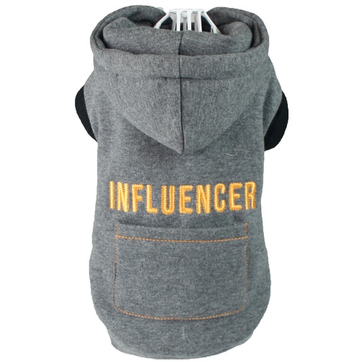 SWEATSHIRT INFLUENCER